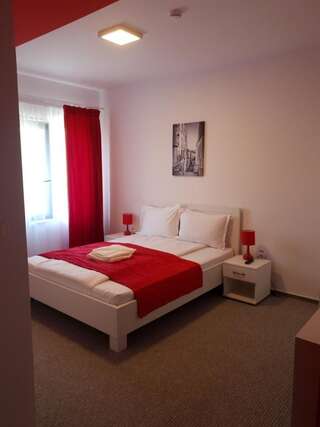 Отель Pensiune Confort Morosanu Şinca Veche Двухместный номер с 1 кроватью и собственной ванной комнатой-3